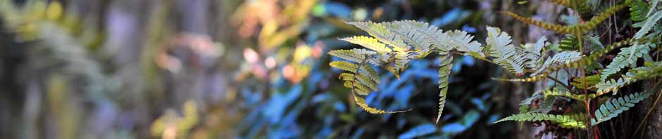 Another Slice of My Life