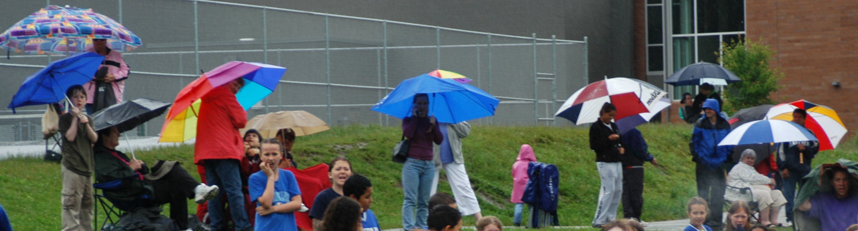 umbrellas