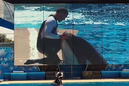 zzzzzshamu-on-big-screen.jpg