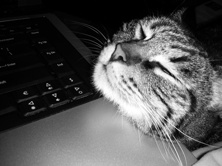 sissy-on-computer-hail-storm-001.jpg
