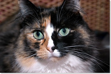Lucy