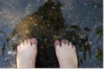 sultan toes