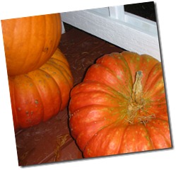DSCN2744