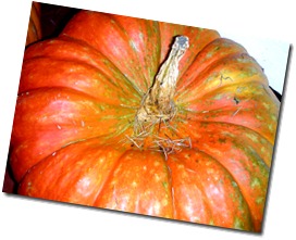 DSCN2745