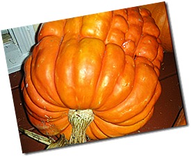 DSCN2746