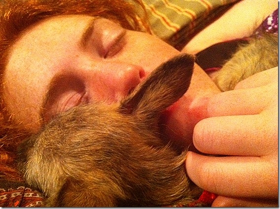 photo (17)