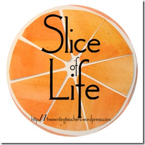 ................................sliuce